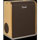 FENDER Acoustic SFX