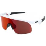 Oakley Resistor – Zboží Mobilmania