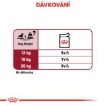 Royal Canin Medium Adult 10 x 140 g – Sleviste.cz