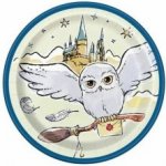 Unique EKO Talířky papírové Harry Potter 17cm – Zboží Dáma