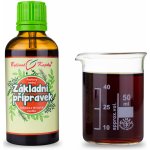 Bylinné kapky Pavlovy bylinné kapky Základní přípravek Netopýr 1 tinktura 50 ml – Hledejceny.cz