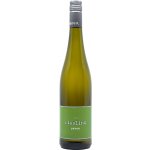 Bäder Riesling 2023 12,4% 0,75 l (holá láhev) – Zboží Dáma