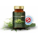 Herbavis GLUKOVITAL FORTE 70 kapslí – Hledejceny.cz