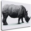 Obraz Impresi Obraz Nosorožec na bílém pozadí - 90 x 60 cm