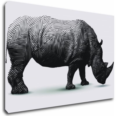Impresi Obraz Nosorožec na bílém pozadí - 90 x 60 cm – Zboží Mobilmania