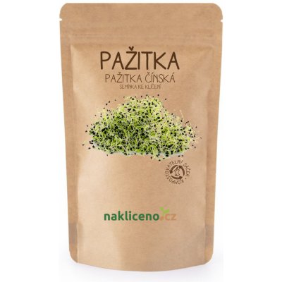Naklíčeno Pažitka - Pažitka čínská - 50 g – Zboží Mobilmania
