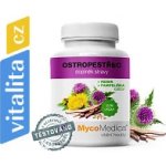 Mycomedica Ostropestřec 2 x 90 kapslí – Hledejceny.cz