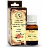 Aromatika kompozice éterických olejů chyť si svůj úspěch 10 ml – Hledejceny.cz