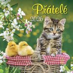 Přátelé nástěnný 33 x 33 cm 2026 – Zboží Mobilmania