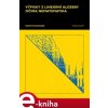 Elektronická kniha Výpisky z lineární algebry očima nematematika - Martin Plešinger