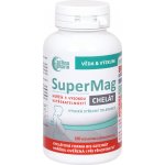 Astina SuperMag B6 chelat 100 kapslí – Hledejceny.cz