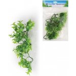 Unionstar Ficus M 30 cm – Zboží Mobilmania