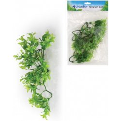 Unionstar Ficus M 30 cm