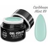 NANI UV gel Amazing Line Caribbean Mint 5 ml