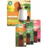 Air wick Aroma vaporizér se sadou náplní 4 x 20 ml – HobbyKompas.cz