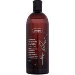 Ziaja Family Shampoo proti lupům Nettle 500 ml – Zbozi.Blesk.cz