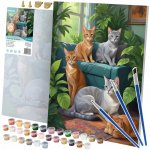 Massido 699015 Obraz pro malování podle čísel Kočky 40 x 50 cm – Sleviste.cz