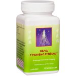 TCM Herbs Nápoj z pravého ženšenu 100 g – Hledejceny.cz