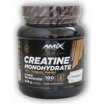 Amix Black Line Creatine Creapure Powder 300 g – Hledejceny.cz