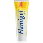 Flamigel hydrokoloid. gel na hojení ran 250 ml – Hledejceny.cz