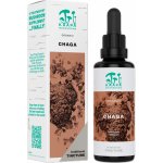 Kaapa Mushrooms Soma CHAGA mushroom tinktura 50 ml – Hledejceny.cz