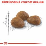 Royal Canin Outdoor 7+ 2 kg – Hledejceny.cz