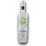 Mont Blanc Botanical Collection Cucumber & Mint 38% 0,7 l (holá láhev) – Hledejceny.cz