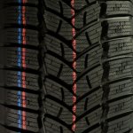 Firestone Winterhawk 3 165/70 R14 81T