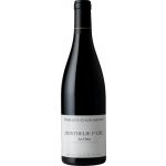 Domaine Changarnier Monthelie Premier Cru Les Clous 2022 Červené 13% 0,75 l (holá láhev) – Hledejceny.cz
