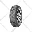 Roadstone Eurovis Alpine WH1 205/55 R16 91H