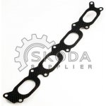 Těsnění, koleno sacího potrubí ELRING 476.460 | Zboží Auto