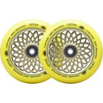 Root Lotus 110 mm radiant yellow 2 ks – Zboží Mobilmania