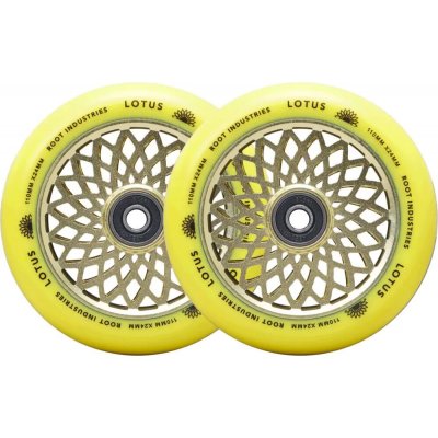 Root Lotus 110 mm radiant yellow 2 ks – Zboží Mobilmania