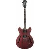 Elektrická kytara Ibanez AS 53