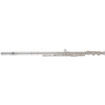 ROY BENSON FL-602E – Sleviste.cz