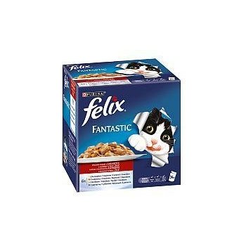 Felix Fantastic maso jelly 24 x 100 g