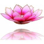 Lotos svícen Capiz růžovobílý se zlatavými lemy – Hledejceny.cz