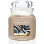 Yankee Candle vonný vosk do aromalampy Seaside Woods 22 g – Zboží Dáma