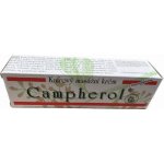 Campherol chladivý masážní krém 50 g – Sleviste.cz