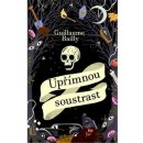 Upřímnou soustrast - Guillaume Bailly