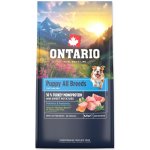 Ontario Puppy & Junior All Breeds Monoprotein Turkey & Sweet Potatoes 6,5 kg – Hledejceny.cz