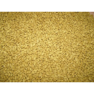 Versele-Laga NutriBird P19 Tropical 5 kg – Zboží Dáma