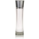 Giorgio Armani Mania toaletní voda pánská 100 ml – Hledejceny.cz