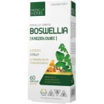 Medica Herbs Boswellia 60 kapslí – Hledejceny.cz