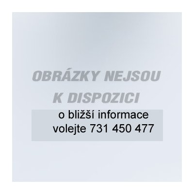 Guma náhradní pro rovnou stěrku 55cm – Hledejceny.cz