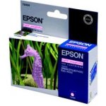 Epson C13T048640 - originální – Hledejceny.cz