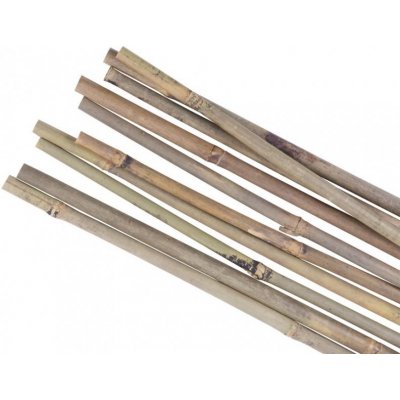 Tyč opěra k rostlinám bambus ¤14-16mm/180cm bal.10ks – Zboží Mobilmania