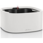 Lechuza Samozavlažovací květináč nízký Pila color 35 cm světle šedý – Zboží Dáma