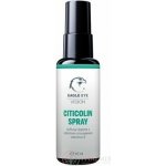 EAGLE EYE Vision CITICOLIN SPRAY orální sprej 40 ml – Zboží Mobilmania