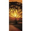 Tapety ForWall Fototapeta na dveře Africa Sunset samolepící 91 x 211 cm